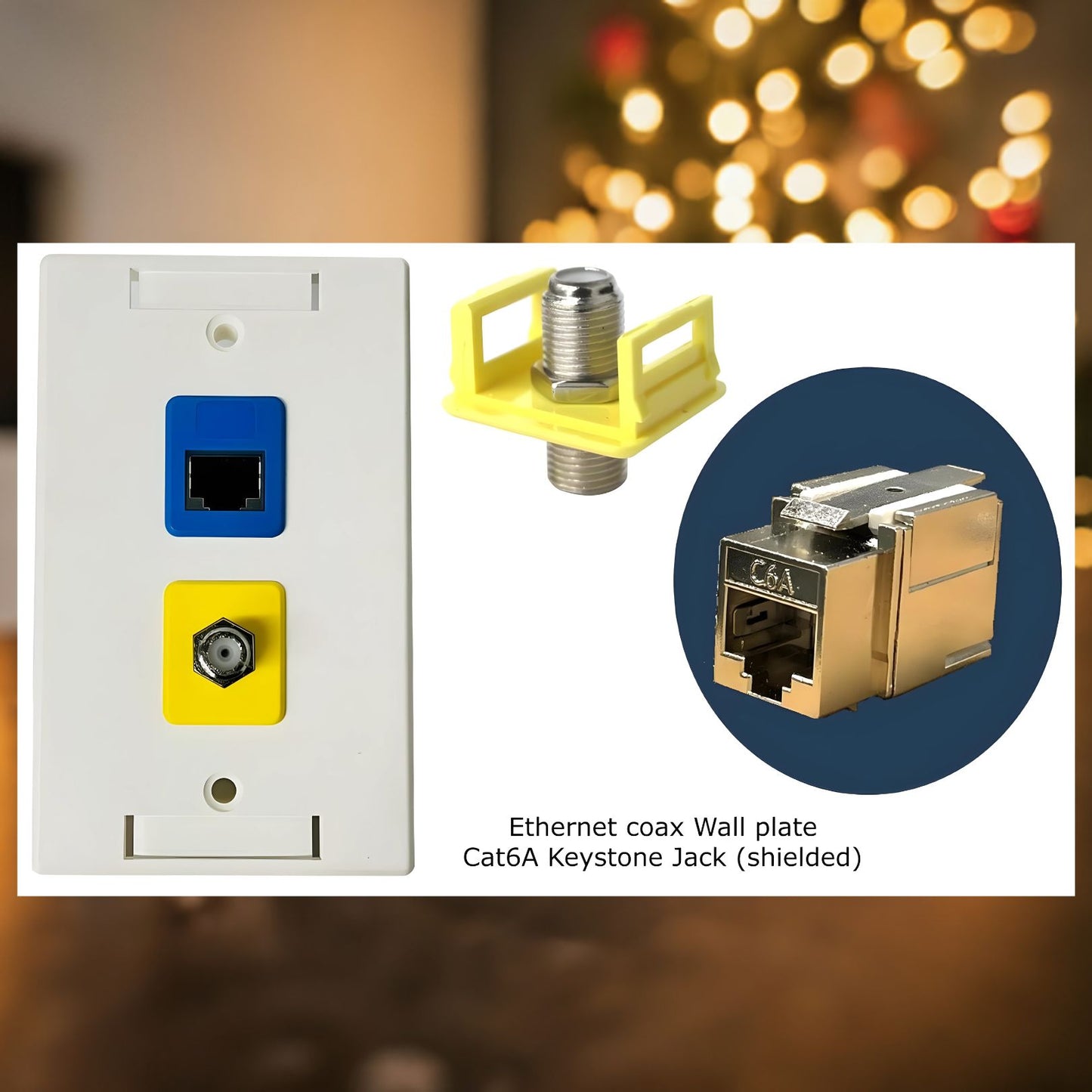 RJ-EC-00 Ethernet Coax Wall Plate - R.J. Enterprises