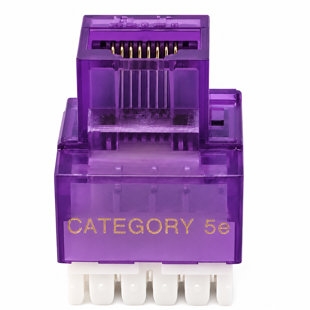 Cat5e 180° Violet Keystone Jack + Coax Wall Plate Bundle