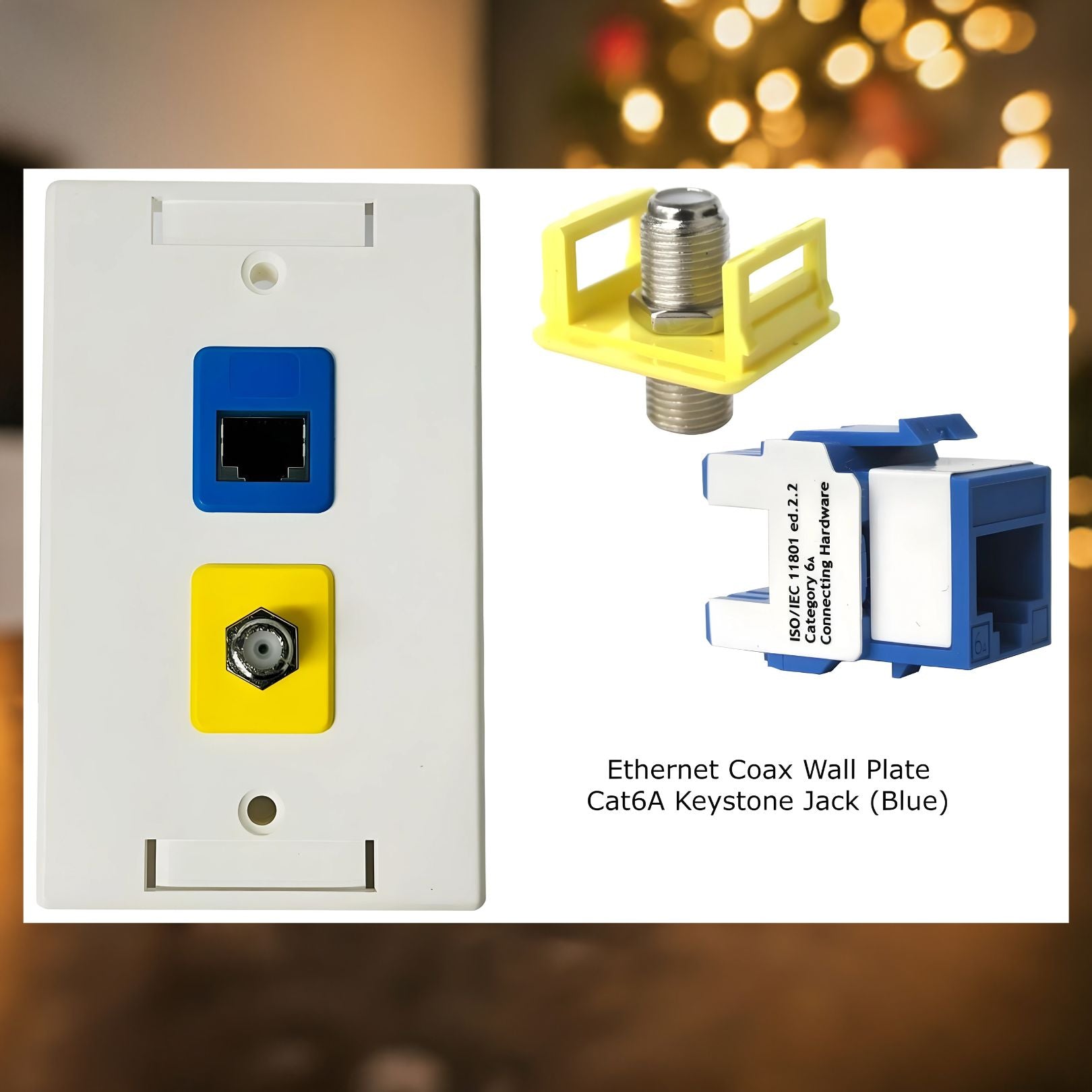 RJ-EC-00 Ethernet Coax Wall Plate - R.J. Enterprises
