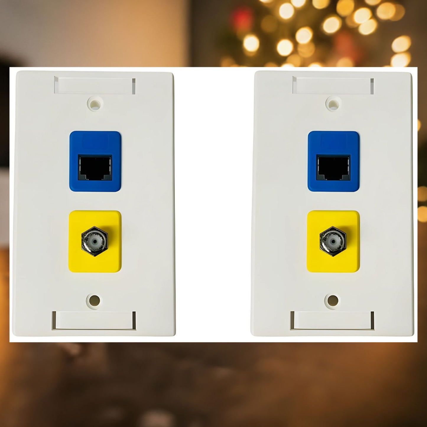 RJ-EC-03 Ethernet coax Wall Plate, Cat6A Shielded Coupler - R.J. Enterprises