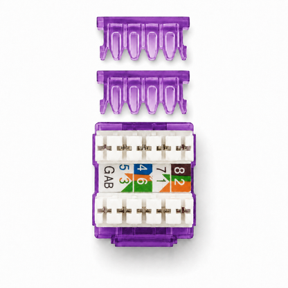 RJ45 Keystone Jack + Coax Wall Plate Bundle - Cat5e 180° Violet Ethernet + F-Type | RJ-EC-13