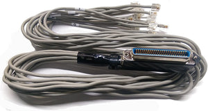 R.J. Enterprises - Amphenol Telco (Female) Cable to 12 RJ11, 3 Feet - R.J. Enterprises
